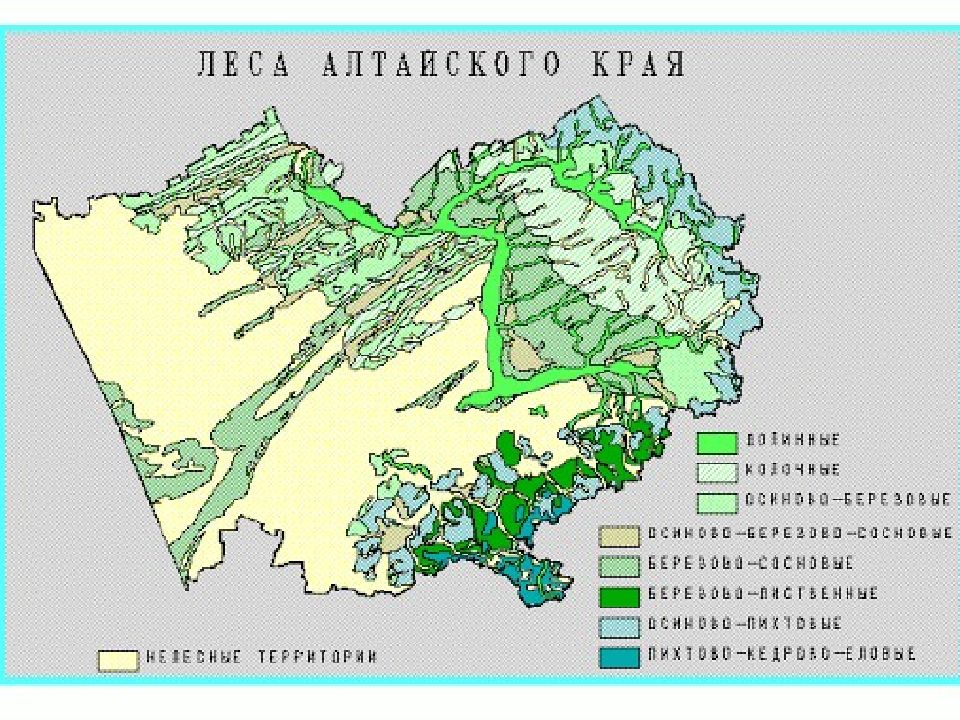 Карта природных зон алтайского края