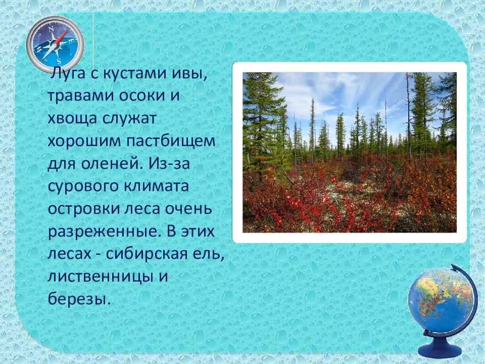 Презентация окружающий мир 4 класс природные зоны. Природные зоны России 4 класс окружающий мир презентация. Природные зоны 4 класс окружающий мир презентация. Проект на тему природные зоны России 4 класс. Презентация по природным зонам России 4 класс.