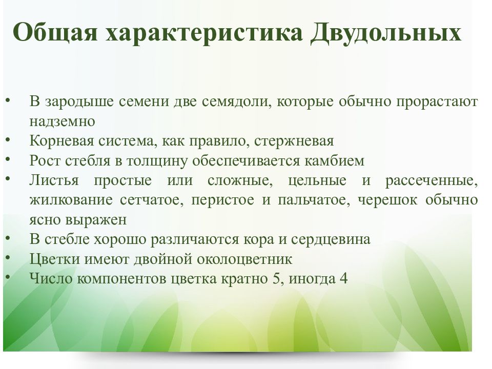 Характеристика двудольных растений. Характеристика класса двудольные. Характеристика двудольных. Общая характеристика класса двудольные. Характеристика класса двудольных растений.