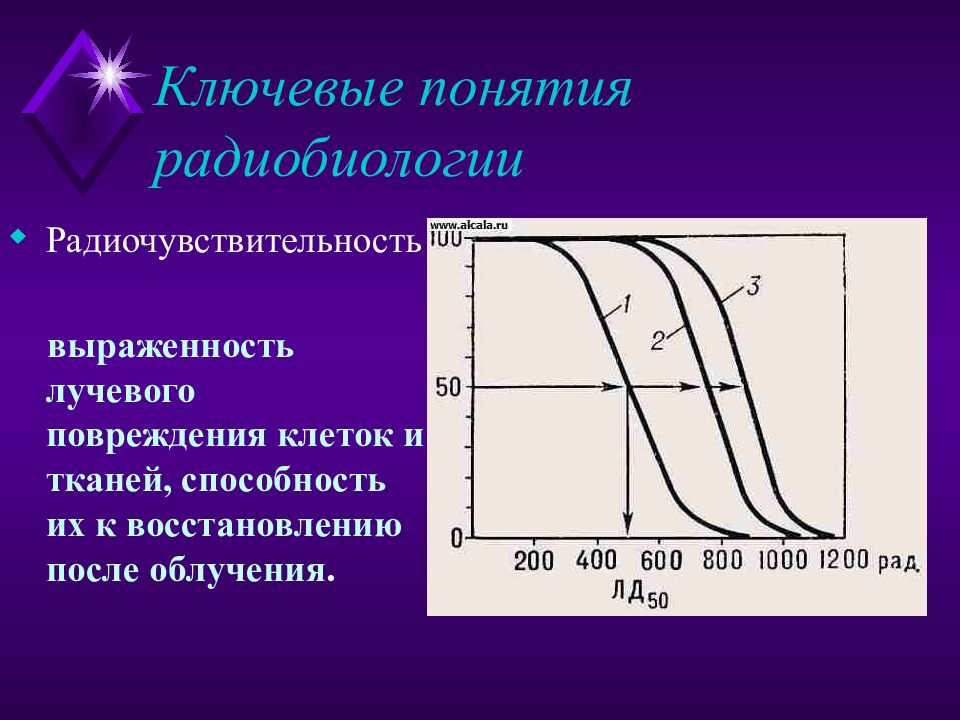 Презентации по радиобиологии