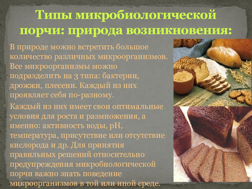 Болезни хлеба презентация