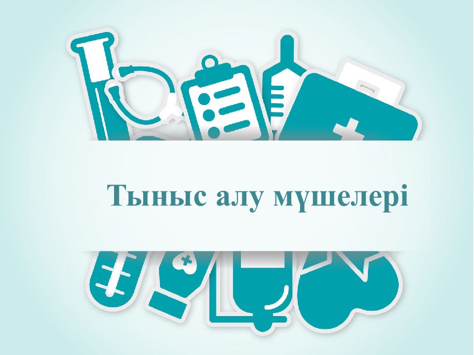 Тыныс алу мүшелері