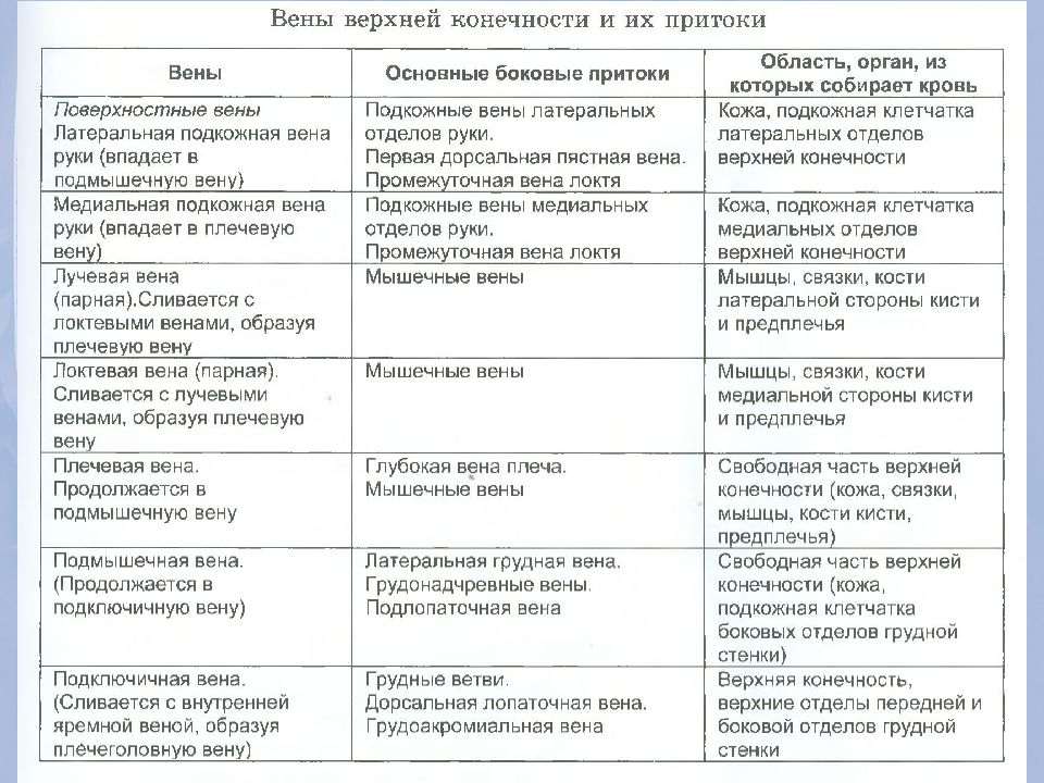 Таблица вен. Вены нижней конечности анатомия таблица. Вены верхней конечности анатомия таблица. Анатомия вен нижних конечностей таблица. Поверхностные вены верхней конечности таблица.