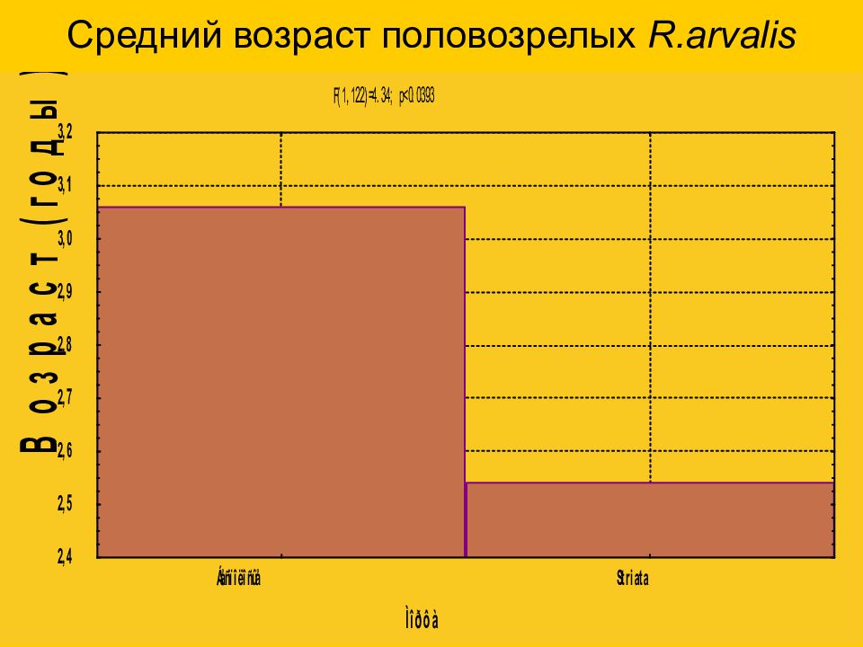 Средний 31. Половозрелый Возраст. Половозрелое состояние. 16 Лет половозрелый Возраст. С какого возраста человек считается половозрелым.