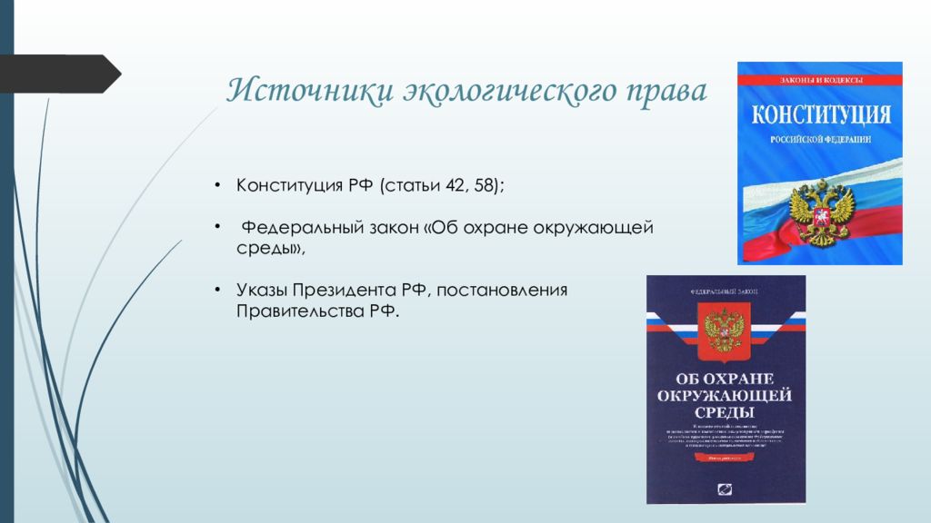 Проект на тему реализация права на благоприятную окружающую среду в моем регионе