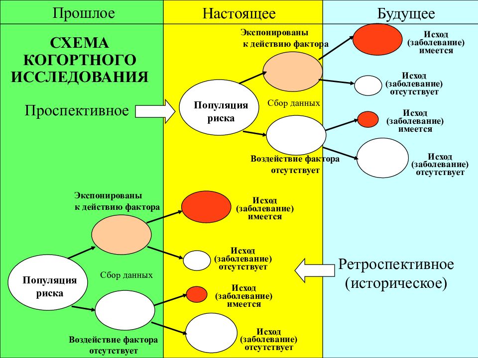 Какие исследования сделать. Схема когортного исследования. Схема проспективного исследования. Проспективное когортное исследование. Дизайн когортного исследования.