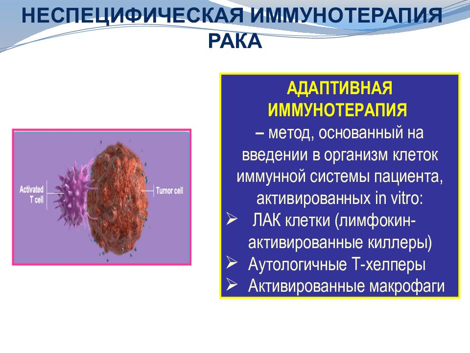 Иммунотерапия. Неспецифическая иммунотерапия. Иммунотерапия презентация. Методы иммунодиагностики опухолей. Неспецифическая иммуностимуляция.