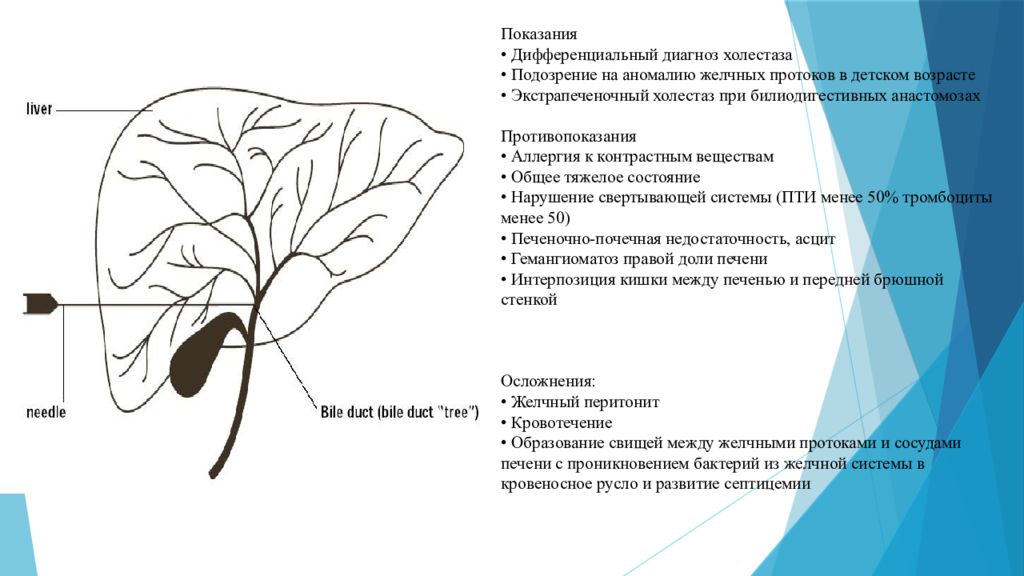 Развитие печени. Варианты развития желчных протоков. Желчевыводящая система печени. Аномалия желчевыводящих протоков. Аномалии развития желчевыводящих путей.