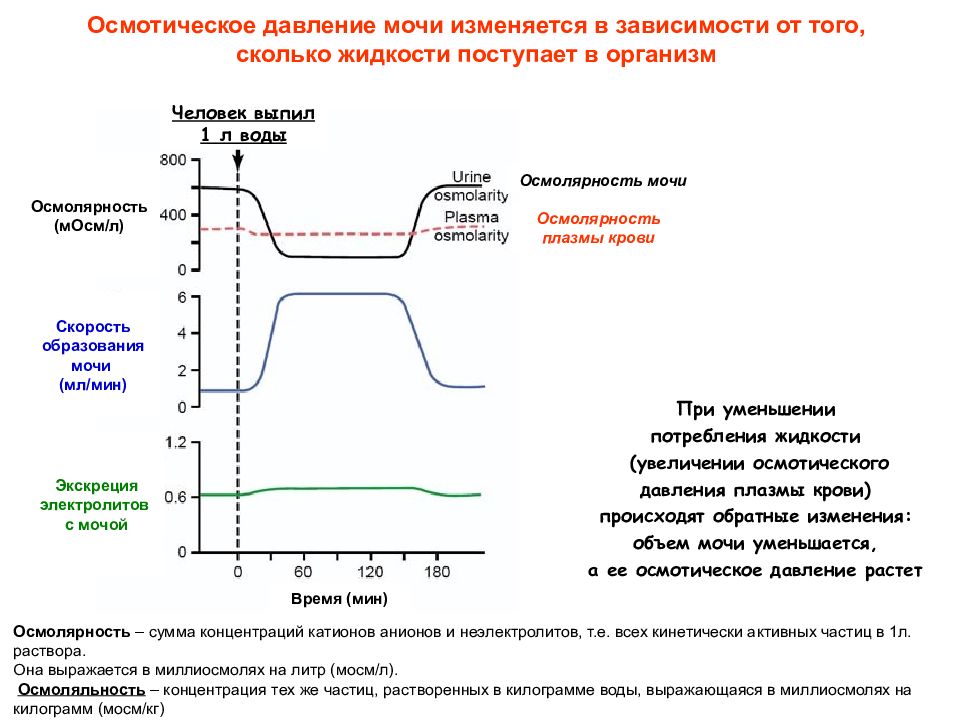 Изменяется в зависимости от. Осмотическое давление мочи. Осмотическое давление мочи норма. Осмотическое давление в организме человека. При повышении осмотического давления плазмы крови диурез?.