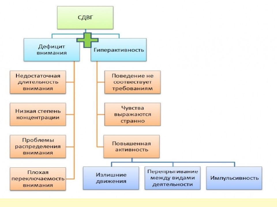 Синдром дефицита внимания презентация