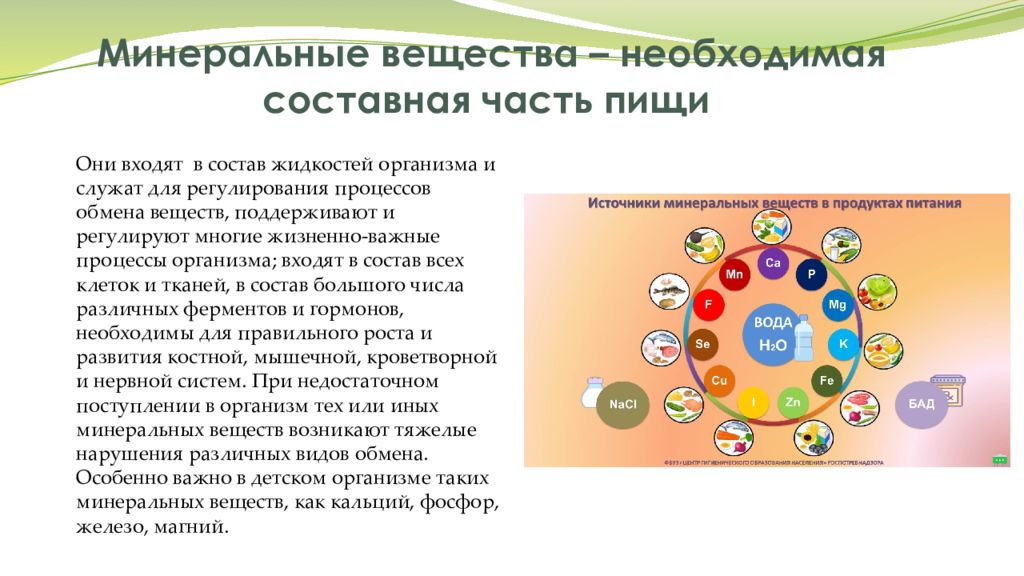 Проект минеральные вещества