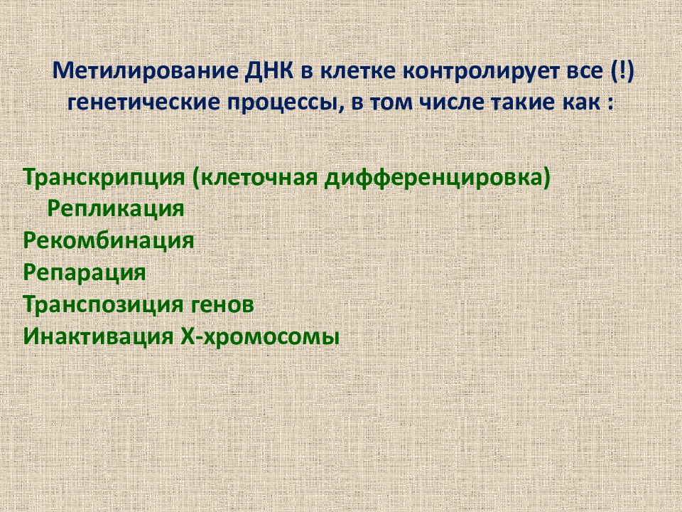 Генетический процесс. Метилирование клеток это. Основные генетические процессы в клетках. Что контролирует все процессы в клетке. Метилирование молекулярной генетики.