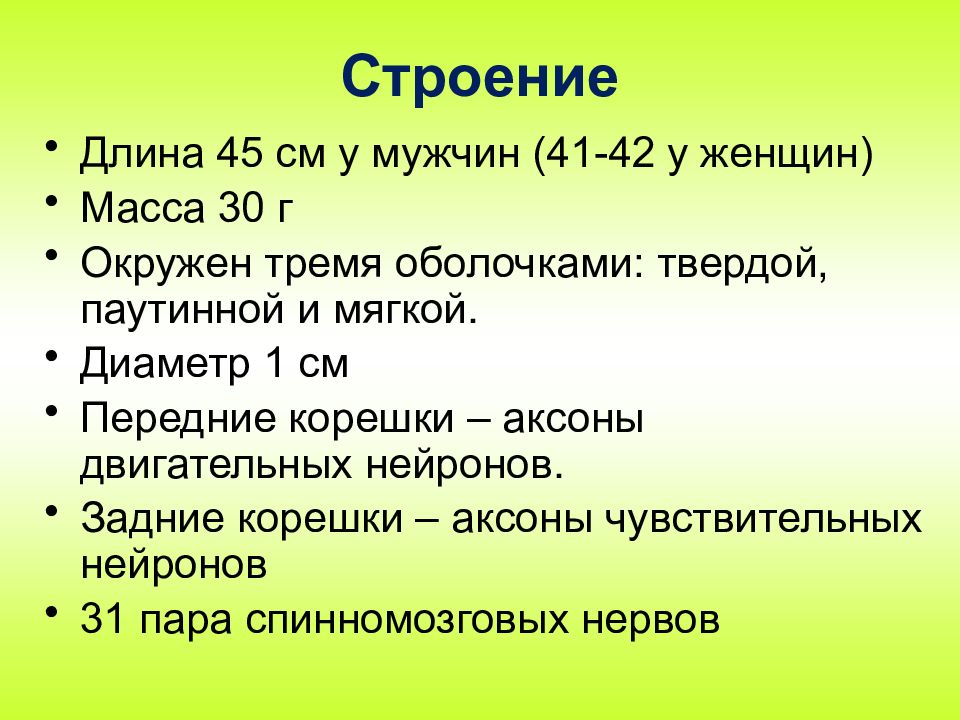 Тест по теме спинной мозг 8 класс. Тест по теме спинной мозг 8 класс