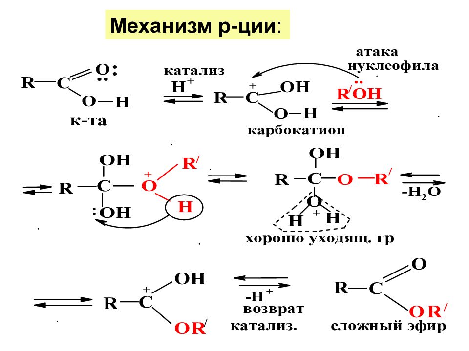 Цепи карбоновые кислоты. Механизм sn1 карбоновая кислота. Схема электрофильного катализа. Механизм присоединения нуклеофила к карбоновым кислотам. Реакции нуклеофильного замещения в карбоксильной группе.
