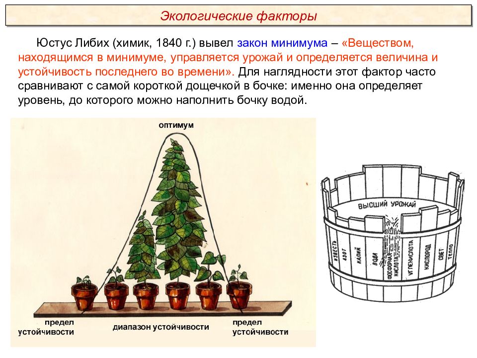 Пименов экология презентация