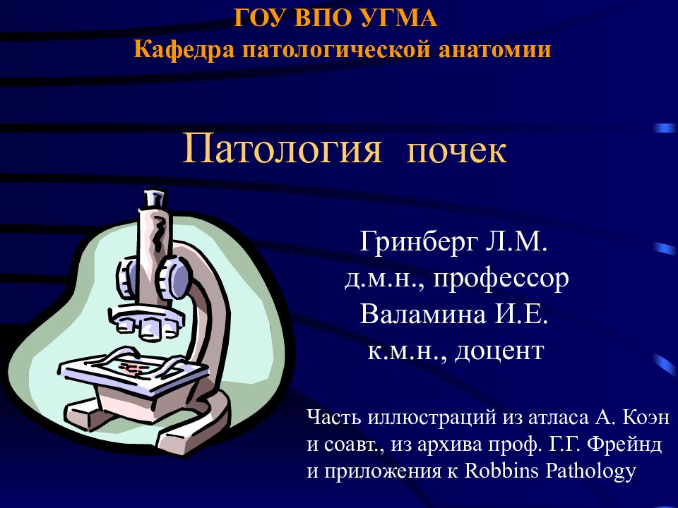 ГОУ ВПО УГМА Кафедра патологической анатомии Патология почек