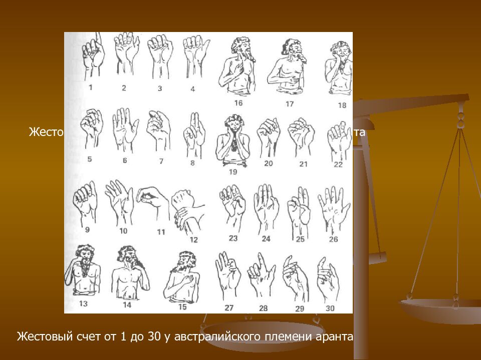 Жестовый счет от 1 до 30 у австралийского племени аранта