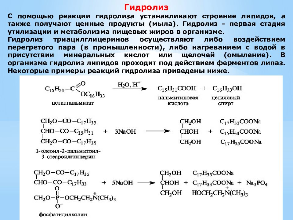 Презентация гидролиз органических веществ