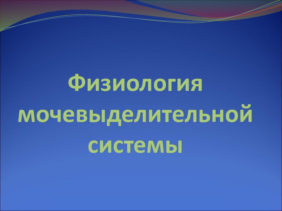 Физиология мочевыделительной системы