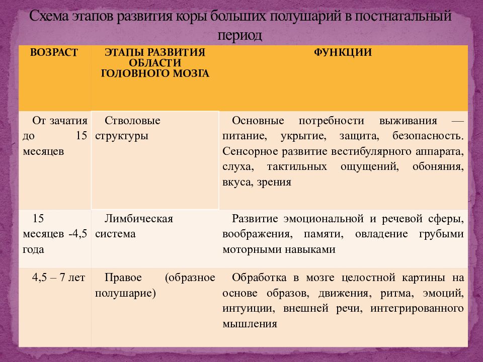 Презентация развитие памяти в онтогенезе