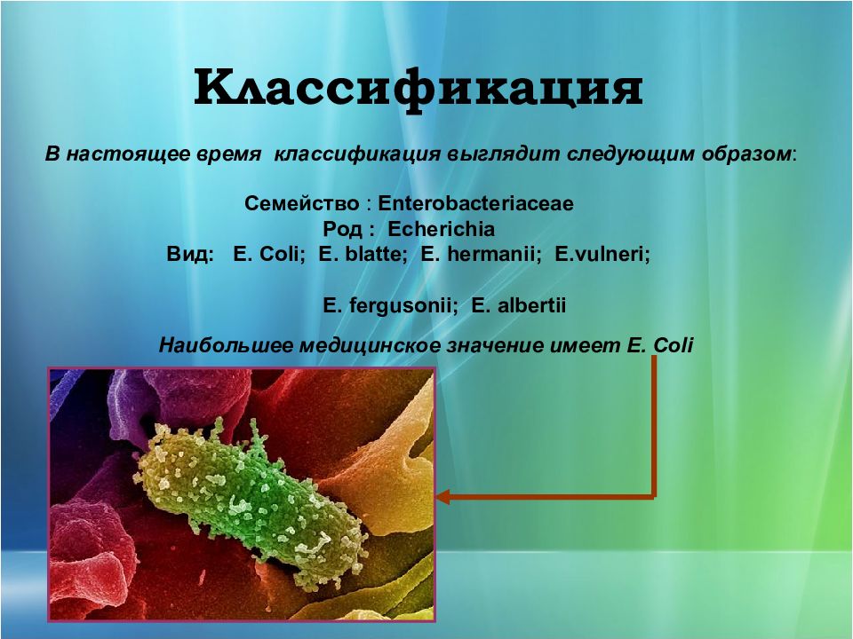 Презентация энтеробактерии микробиология