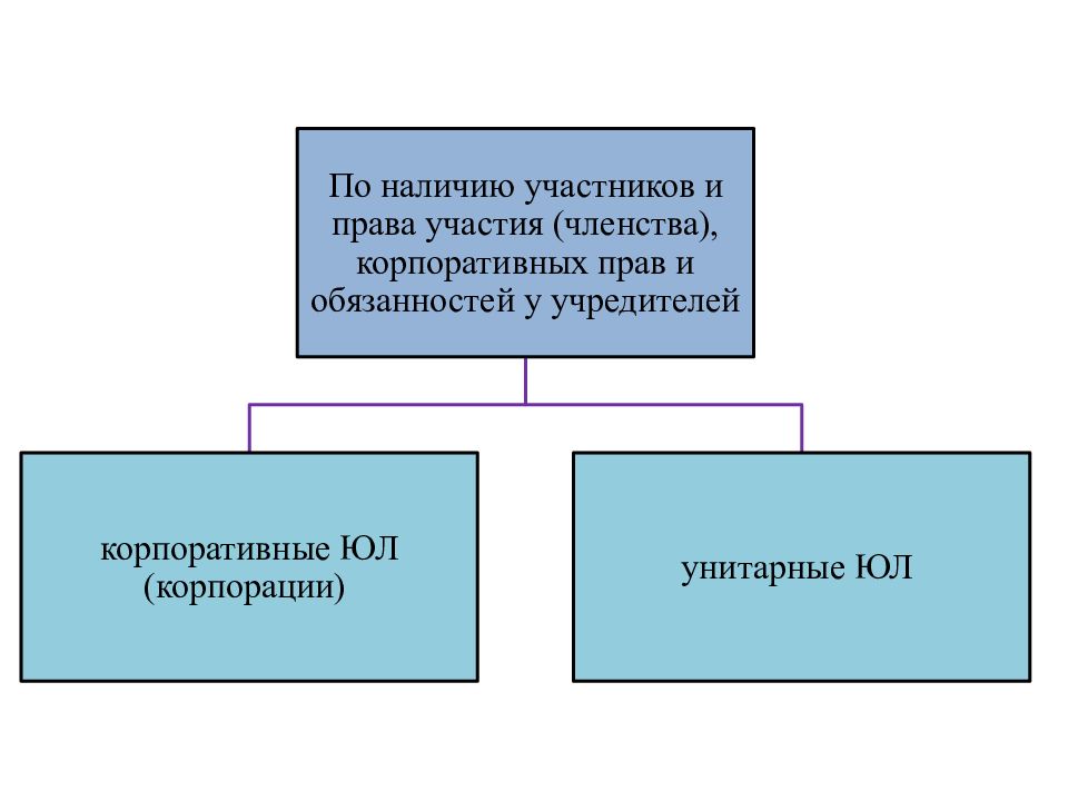 Презентация юридические лица