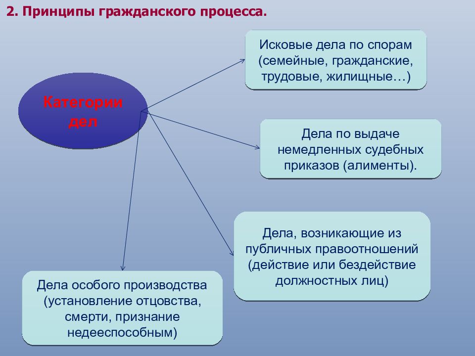 1 принципы гражданского процесса