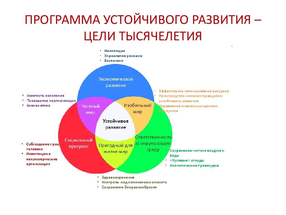 Социально экономический проект это