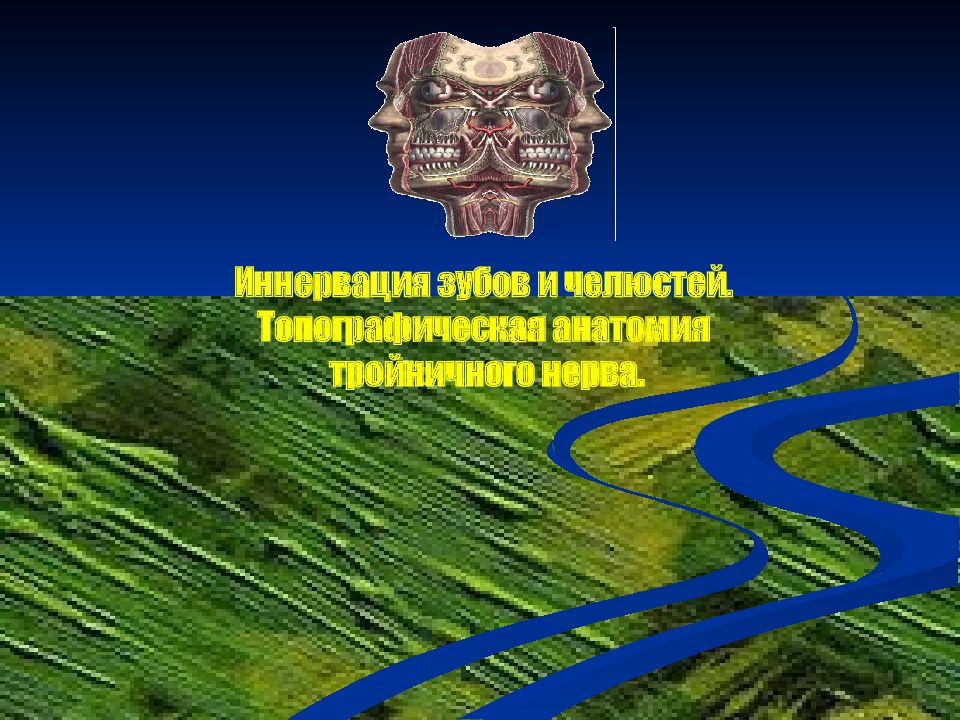 Иннервация зубов и челюстей. Топографическая анатомия тройничного нерва.