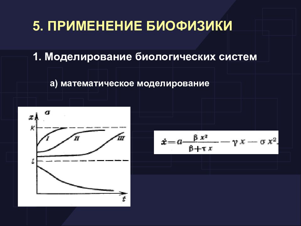 Математическое моделирование биологических. Моделирование в биофизике. Математическое моделирование биологических процессов. Математические модели биологических систем. Математическое моделирование в биофизике.