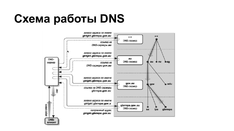 Схема работы dns