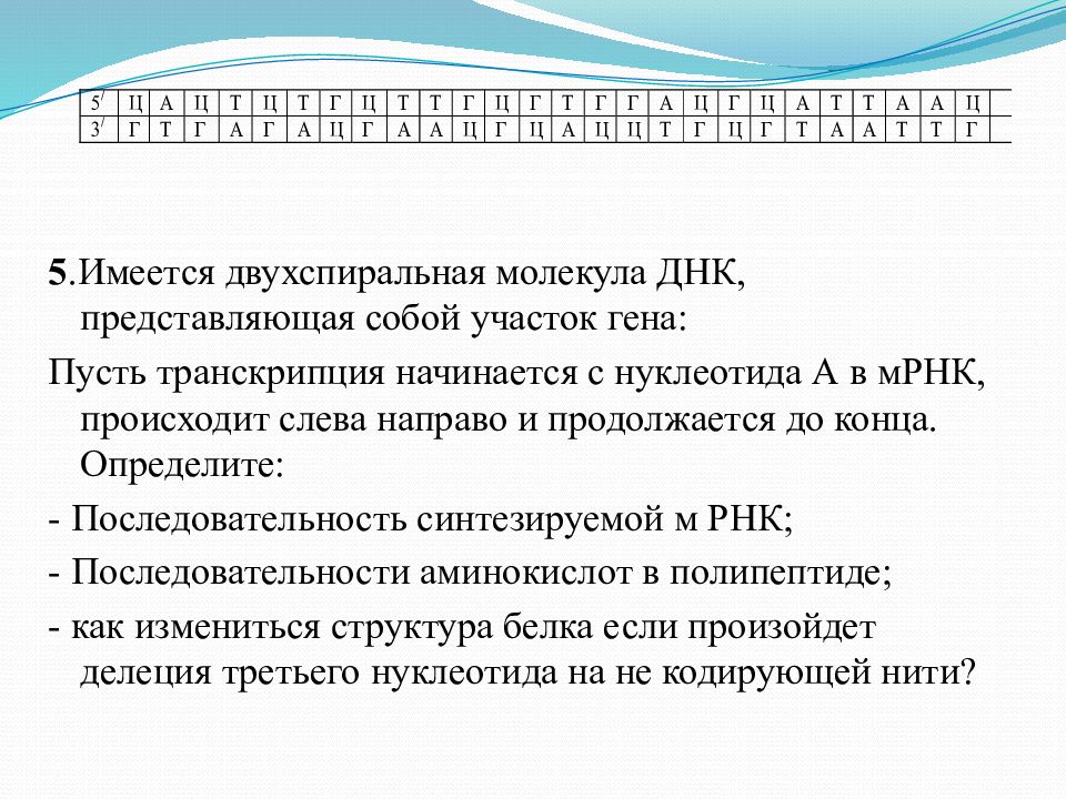 Определите последовательность участка днк. Задачи по молекулярной биологии. Решение типовых задач по молекулярной биологии. Задачи по молекулярной биологии примеры. Решение элементарных задач по молекулярной биологии.