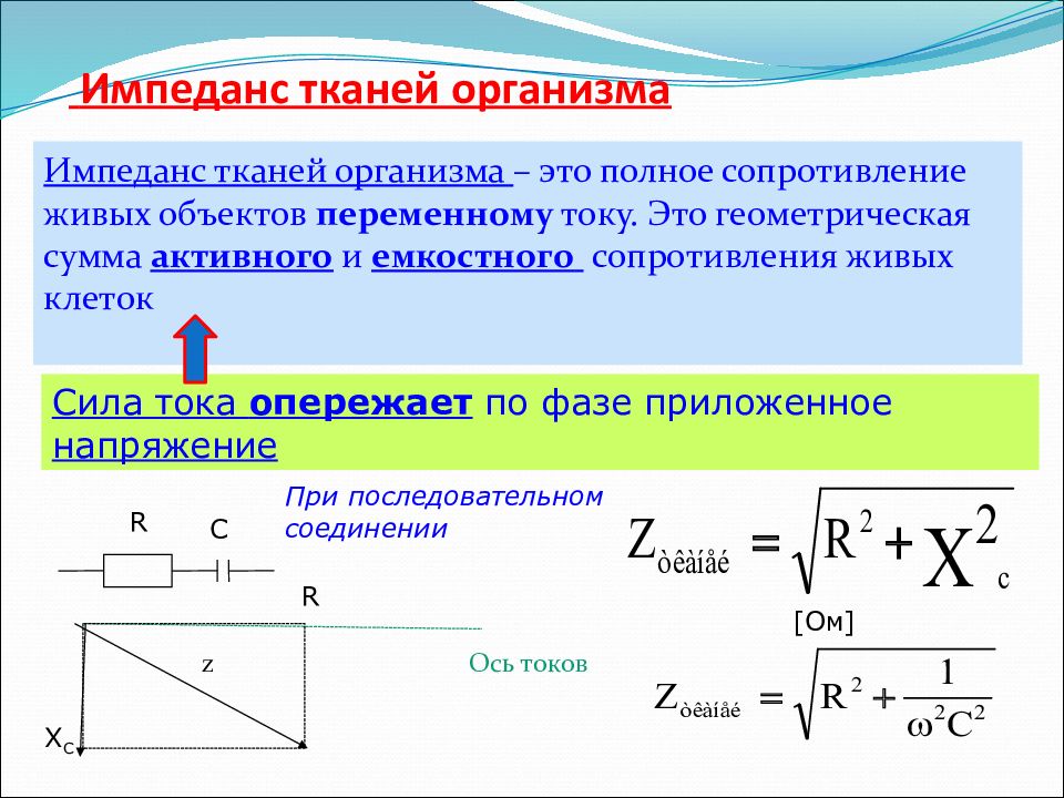 Какие сопротивления должна содержать эквивалентная электрическая схема тканей организма