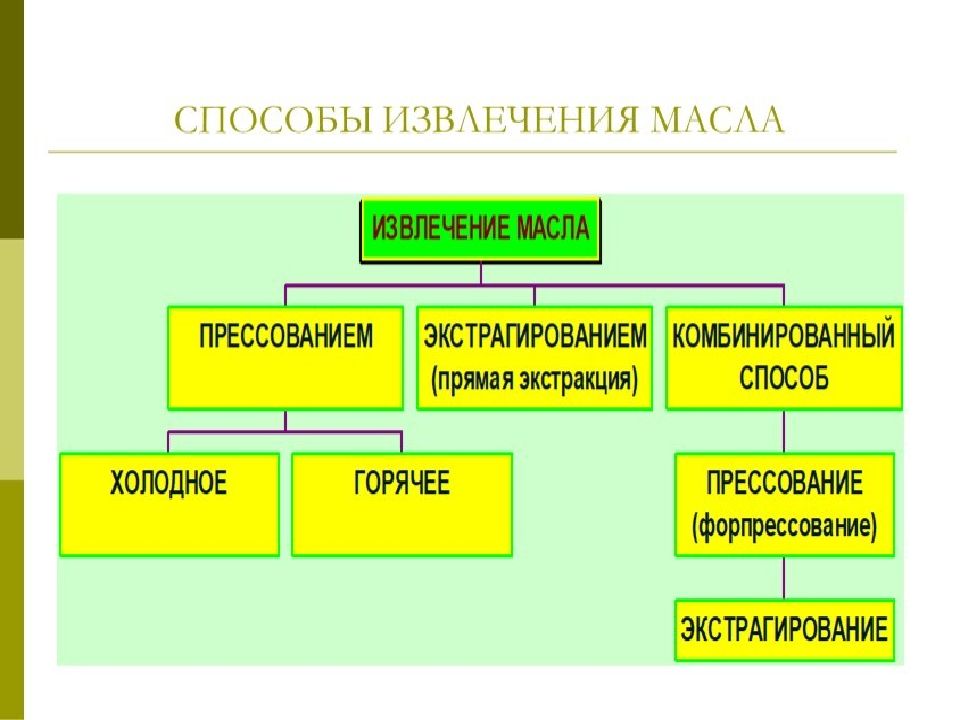 Методов масло. Способы извлечения растительных масел. Способы получения масел. Методы получения растительных масел. Способы извлечения подсолнечного масла.