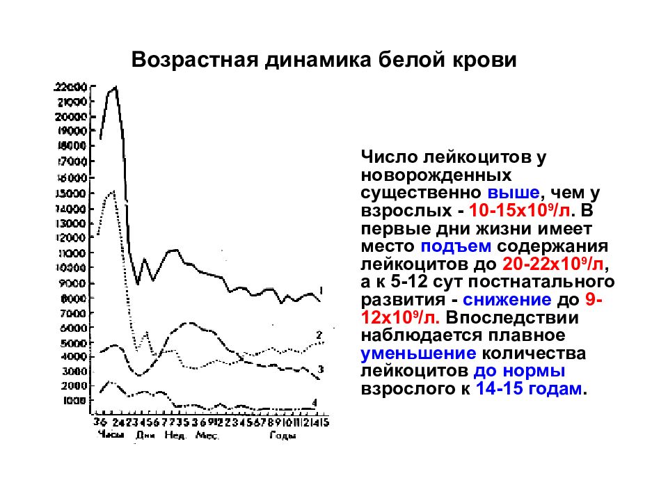 Возрастная динамика. Возрастная динамика белой кровью. Динамика возрастного развития. Возрастная динамика параметров жизнедеятельности.