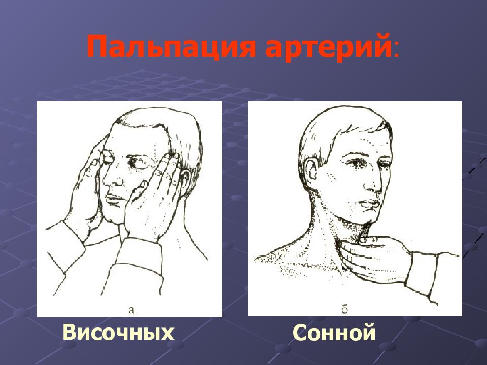 Пальпация больного. Пальпация локтевой артерии. Пальпация плечевой артерии. Обследование височных артерий.