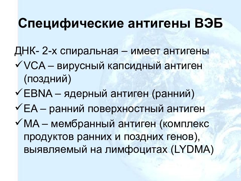 Вирус эпштейна барра показатели. Антигены вируса Эпштейна-Барр. Мембранный антиген. ДНК вэб. Специфичность антигена.