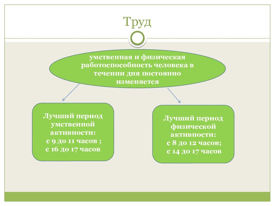 Труда и отдыха презентация