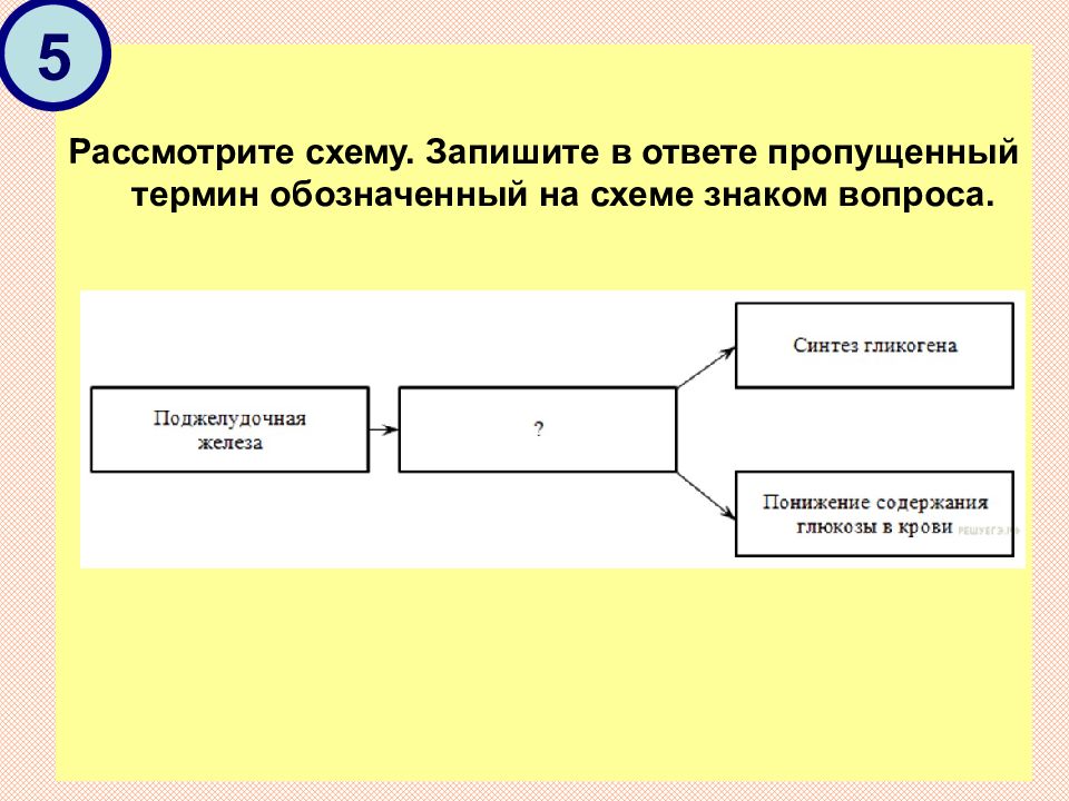 Рассмотрите схему. Пропущенный термин, обозначенный на схеме знаком вопроса. Ответ:. Рассмотрите схему. Запишите в ответе пропущенный термин. Рассмотрите предложенную схему запишите в ответе пропущенный термин.