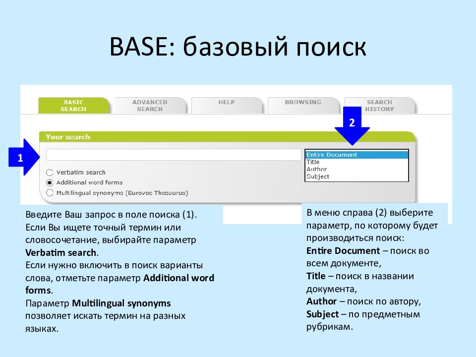 Поле поиска