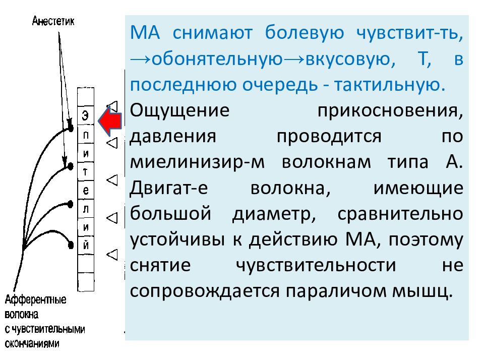 Анестетик это. Вяжущие анестетики. Ощущение прикосновения и давления. Обволакивающие анестетики. Болевые сигналы проводятся по волокнам типа.