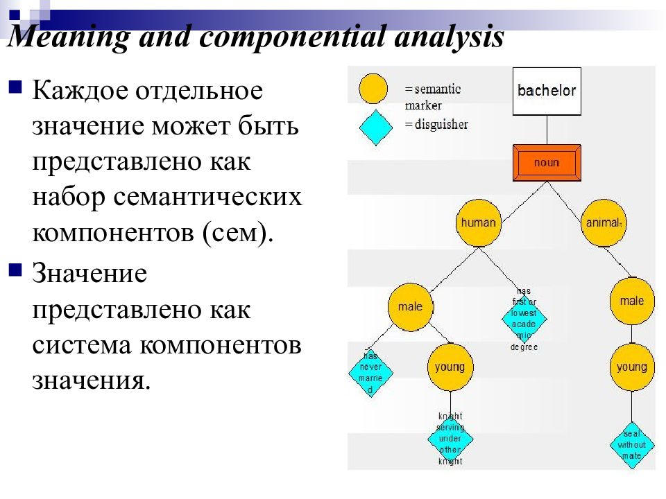 Каждый отдельный вид. Componential Analysis. Может быть значение. Componential Analysis Lexicology. Семантическая пирамида лексикология.