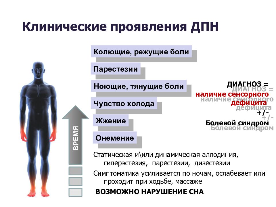 Боли при полинейропатии нижних конечностей. Диабетическая и алкогольная полинейропатия что это. Полинейропатия клинические проявления. Симптомы полинейропатии верхних и нижних конечностей.