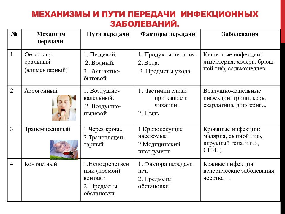 Инфекционные болезни в картинках и схемах