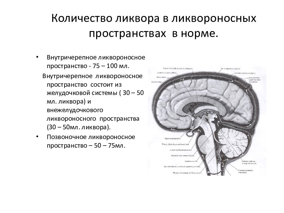 Косвенное внутричерепная гипертензия. Ликворные пространства головного мозга. Количество ликвора в норме. Наружные ликворные пространства. Расширение ликворных пространств головного мозга.