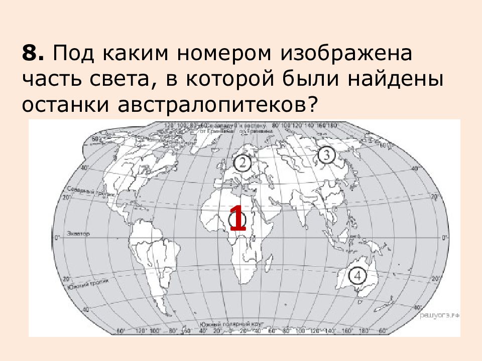 Под каким номером 1. Часть света, в которой были найдены останки австралопитеков. Где были найдены останки австралопитеков на карте. Где нашли останки австралопитека. Останки австралопитека на карте.