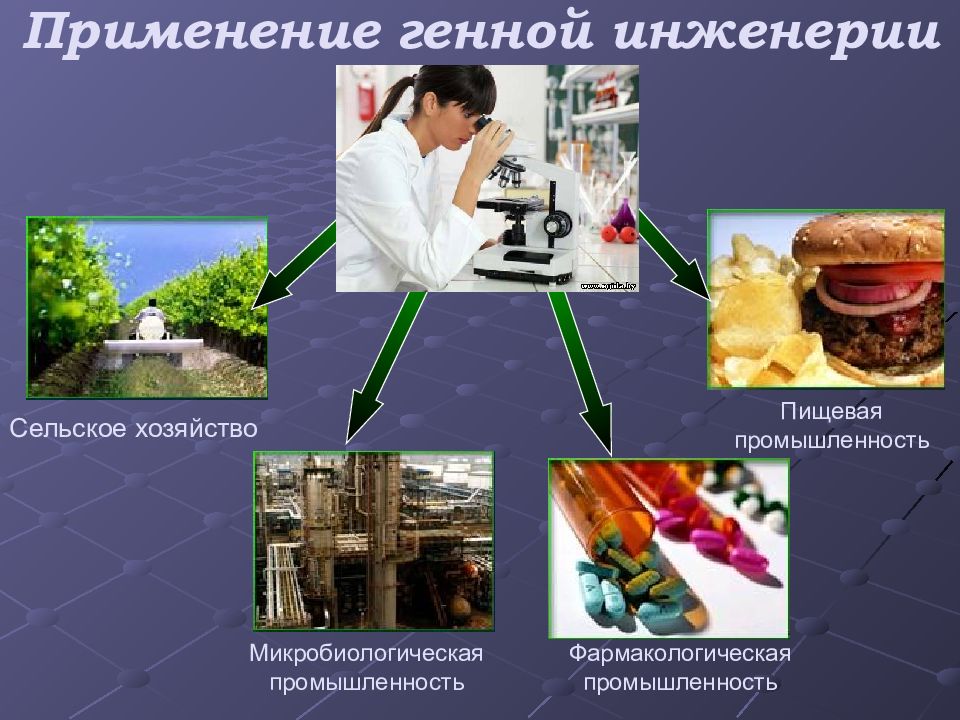 Клеточная биотехнология в растениеводстве презентация