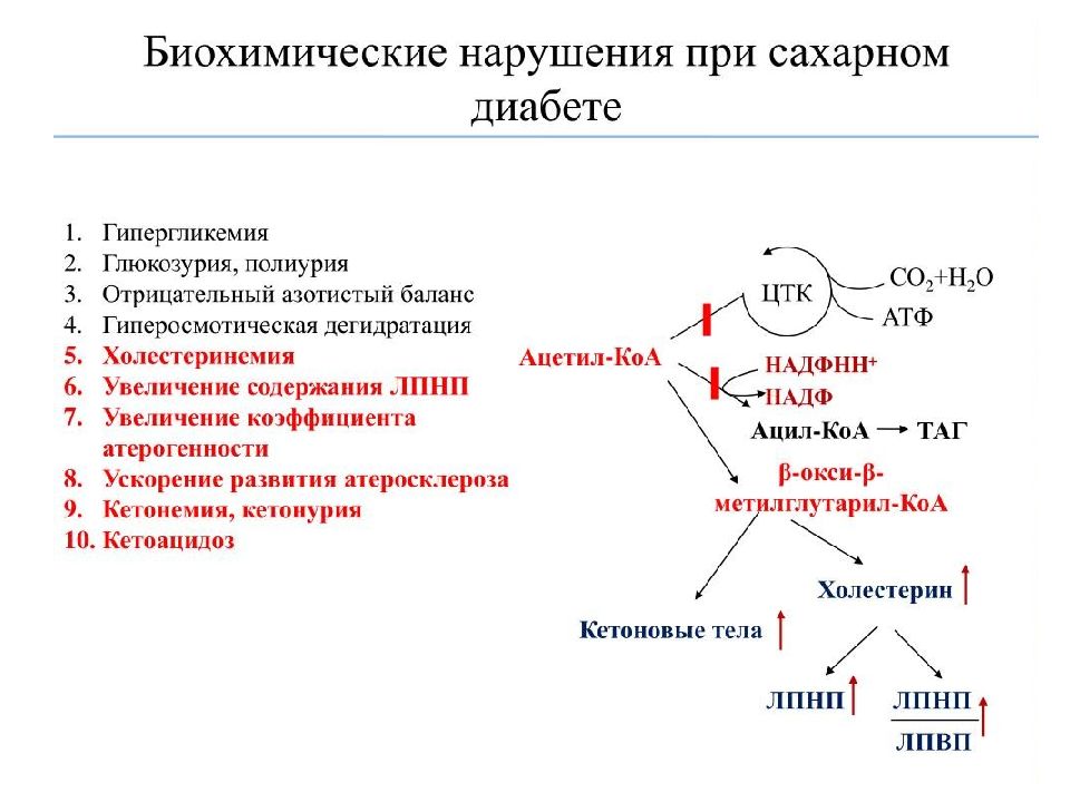 Сигналы рецепторов