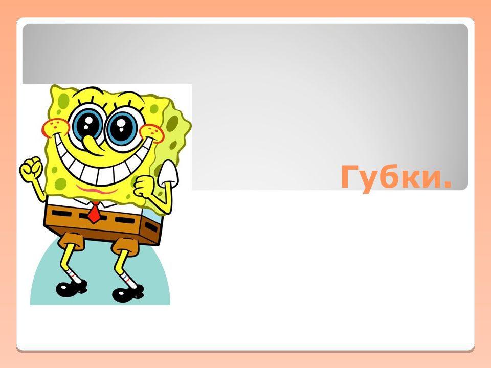 Губки.