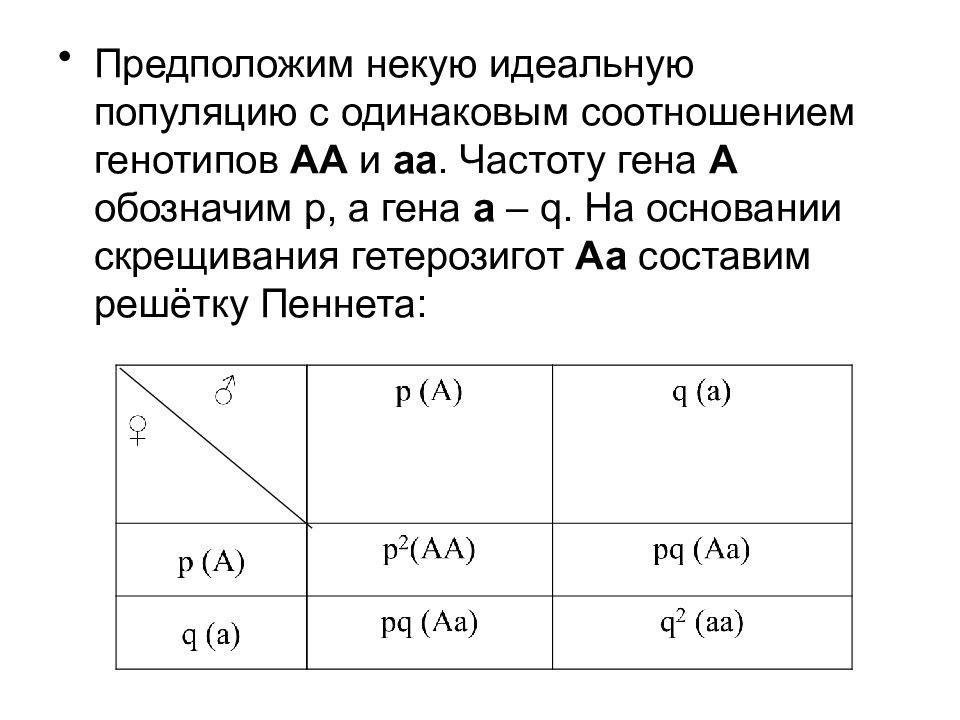 Презентация закон харди вайнберга популяции 11 класс